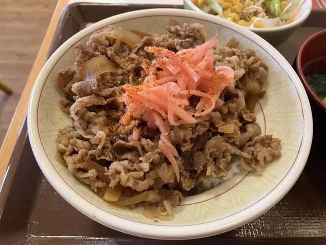 Sukiya Nijugo Go Ikaruga Horyuji Ten photo 3