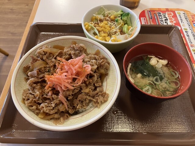 Sukiya Nijugo Go Ikaruga Horyuji Ten photo 4