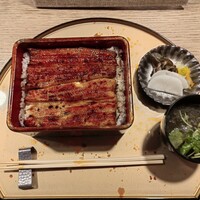 うなぎ 目白ぞろ芽 - 