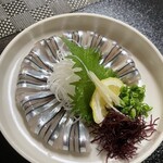 魚将　さかなちゃん - きびなご