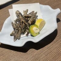 しら河 浄心本店 - 