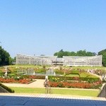 パークスローズガーデン - 神代植物園