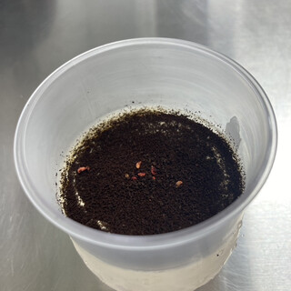 ティラミス専門店 Del Tiramisu 軽井沢