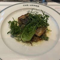 THE UPPER - 