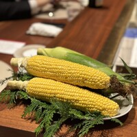 スガラボヴィー - 