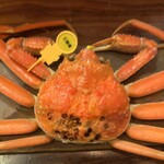 旬菜魚 藍 - 1.5キロアップの間人蟹は一年に1度の贅沢ですが知小ぶりの越前蟹はカジュアルに頂けてこの季節何度でも食べちゃおう！！