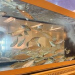 活魚廻転寿し 水天 - 