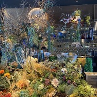 boB the garden Ginza - 