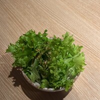 横浜焼肉kintan -  横浜焼肉kintan -