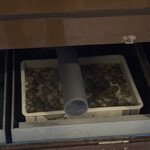 活烏賊と炭焼 のすけ - 