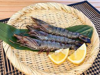 伊勢志摩パールヴィレッジ BBQテラス 山﨑屋 - 