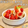 極生ぷりん専門店 やすみん