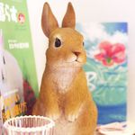 カフェ・ミニヨン - 