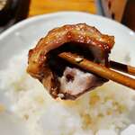 大衆酒場 藤沢ホルモン - ホルモンの一種（アップ）