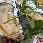トラットリア・築地パラディーゾ - 生牡蠣