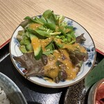 肉刺しとホルモン トラコ - 