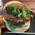 パントリー コヨーテ - 