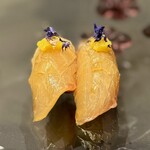 プレゼンテ スギ - 杉寿司TYPE-S