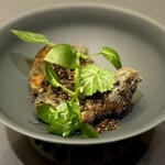 プレゼンテ スギ - 森の地面