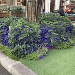 Lei Garden Restaurant - 