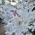 HAUTE COUTURE CAFE OMOTESANDO - その他写真: