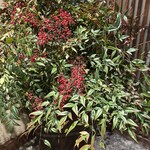 おばんざい木むら - 