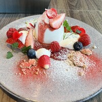 THE PENTHOUSE with weekend terrace - 