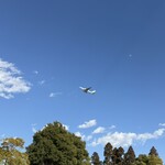 NARITA BOLD KITCHEN - 月と航空機