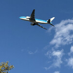 NARITA BOLD KITCHEN - 