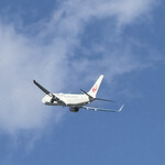 NARITA BOLD KITCHEN - 駐車場から見えた各国の航空機