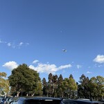 NARITA BOLD KITCHEN - 