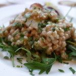 ナポリ、アマルフィ料理 Ti picchio - マダコと小麦のサラダ