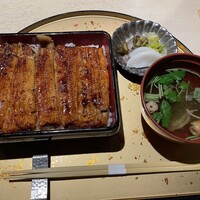 うなぎ 目白ぞろ芽 - 