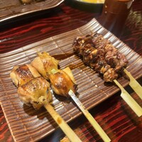 鳥ばか一代 - 
