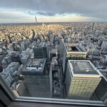 シグネチャー - 