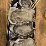 モントナイン - 