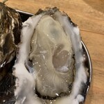 モントナイン - 