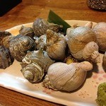 ふうすけ - 2014.06つぶ貝と姫さざえ