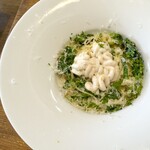 アランチャ - 真鱈白子とちぢみほうれん草の柚子胡椒クリーム
         ソース      