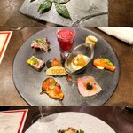 オッジ ダルマット - 