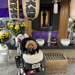 そば処 湧水 - ちゃんとお墓参りも！