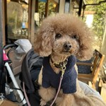 そば処 湧水 - ご機嫌？