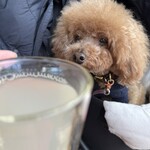 そば処 湧水 - シェリと乾杯♪