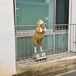街カフェ コクーン - 外に出たい羊さん