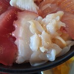 太陽 - 