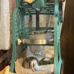 お好み焼き D-SPOT - 