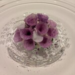 La Vallee d'Or - 海の幸のマリネ　根セロリのムース　紫大根のブーケ