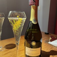 Potoro - 