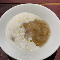 Potoro - 