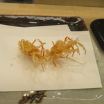 天一 - 車海老頭